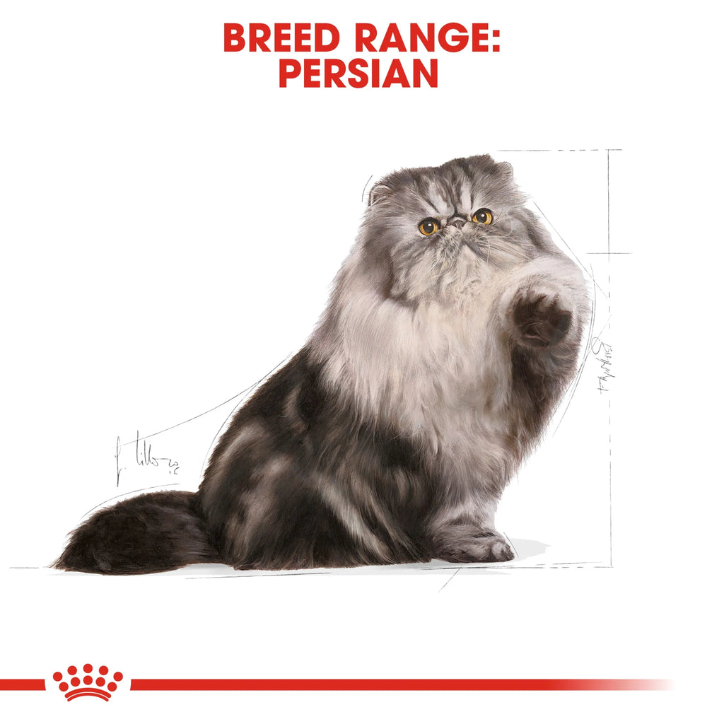 Royal Canin Dry Food Persian Cat