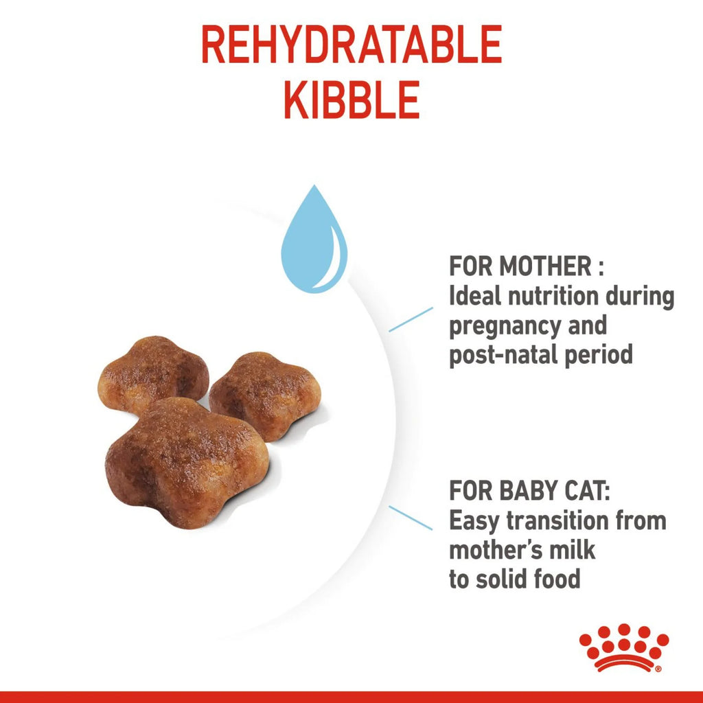 Royal Canin Dry Food Cat Nutrition Mother & Babycat 2kg