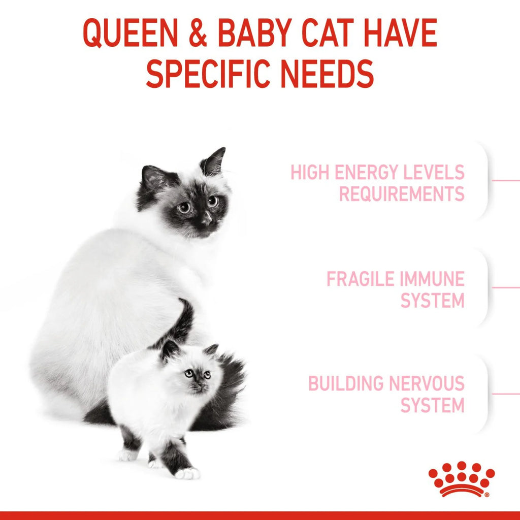 Royal Canin Dry Food Cat Nutrition Mother & Babycat 2kg