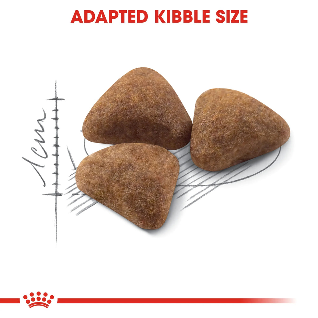 Royal Canin Dry Food Cat Indoor 4 kg