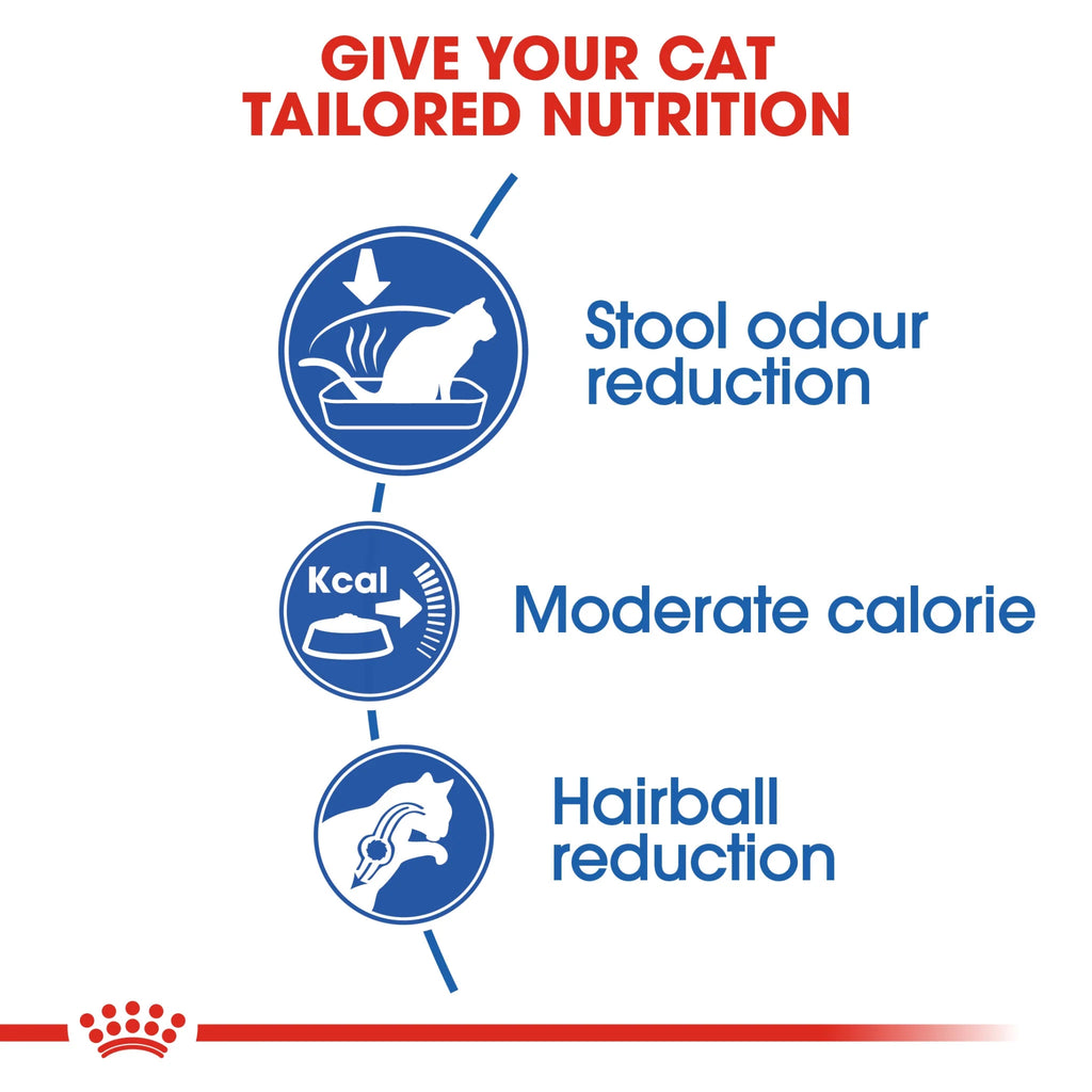 Royal Canin Dry Food Cat Indoor 4 kg