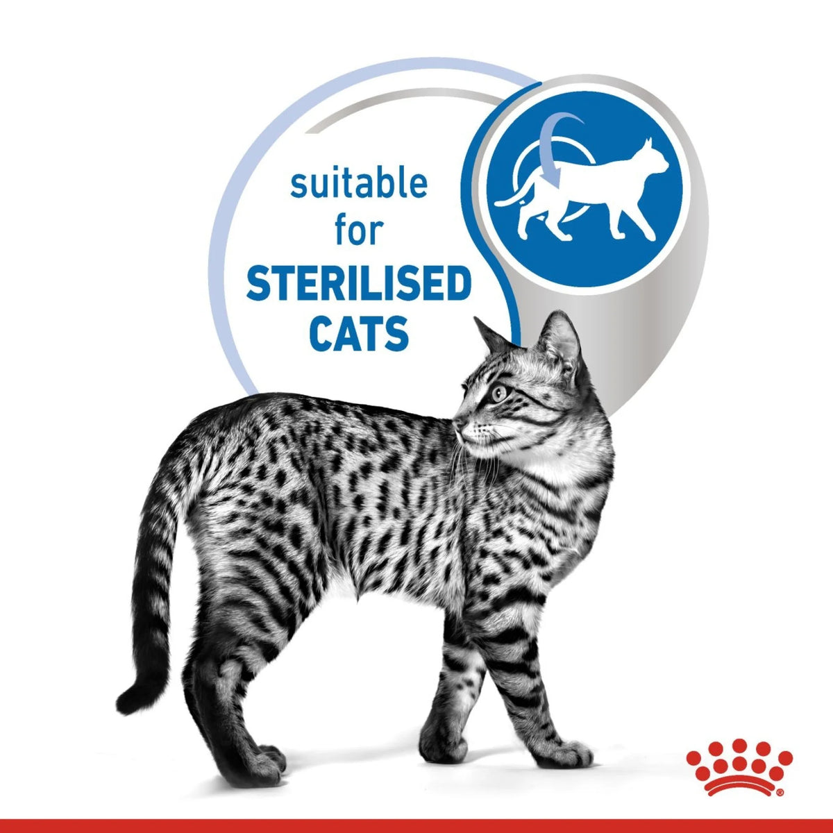 Royal Canin Wet Food Cat Indoor Gravy 85gr