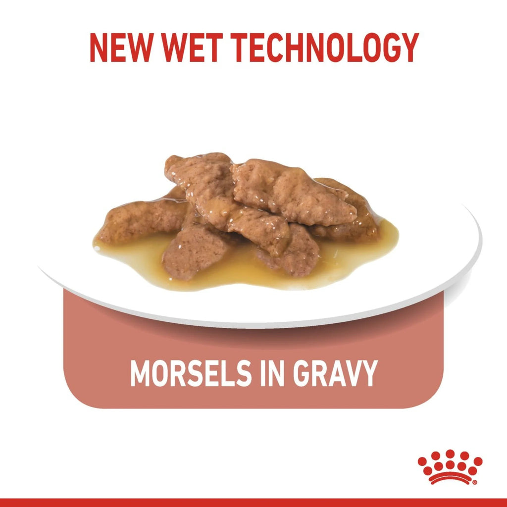 Royal Canin Wet Food Cat Indoor Gravy 85gr