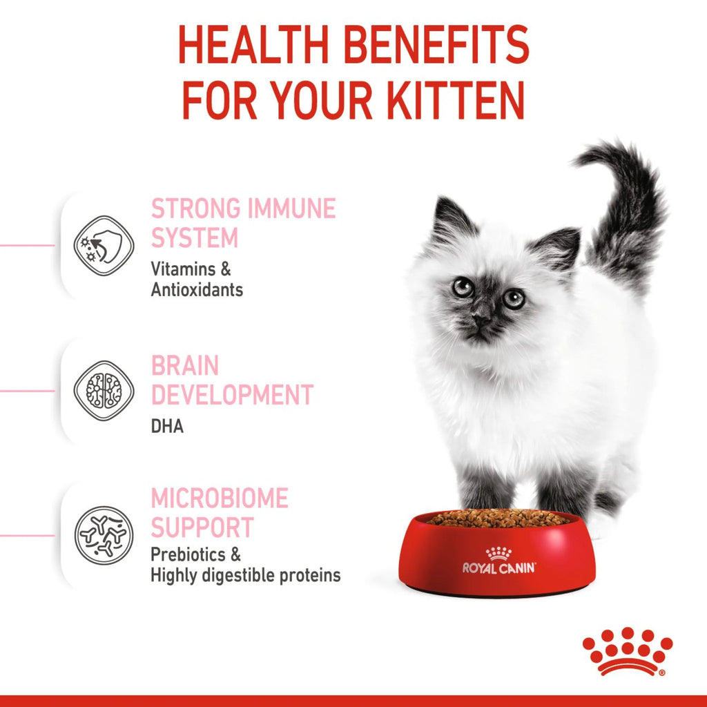 Royal Canin Dry Food Cat Kitten 2 kg