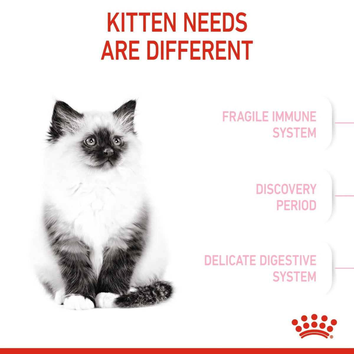Royal Canin Dry Food Cat Kitten 2 kg