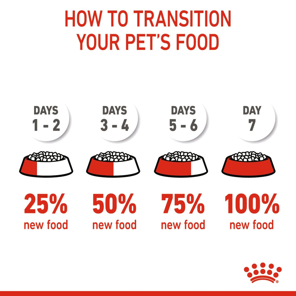 Royal Canin Dry Food Cat Kitten 2 kg
