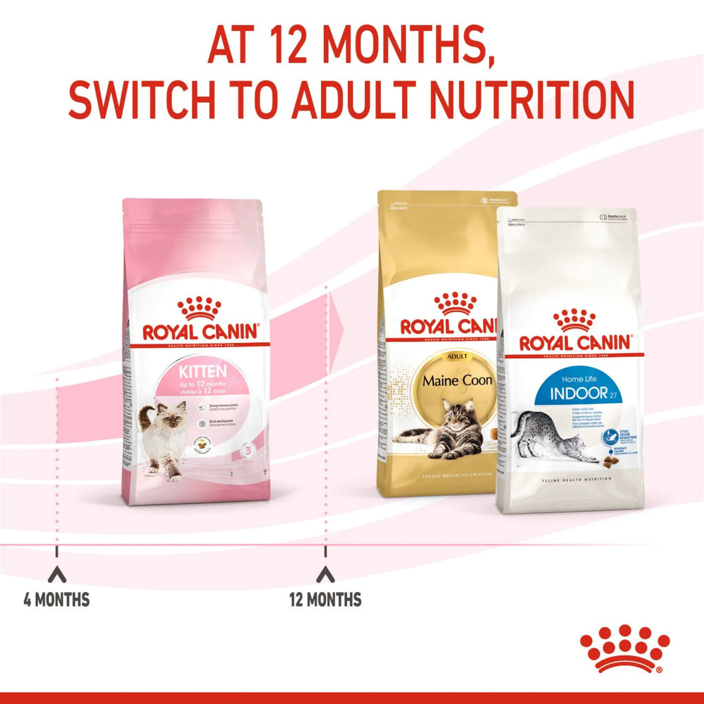 Royal Canin Dry Food Cat Kitten 2 kg
