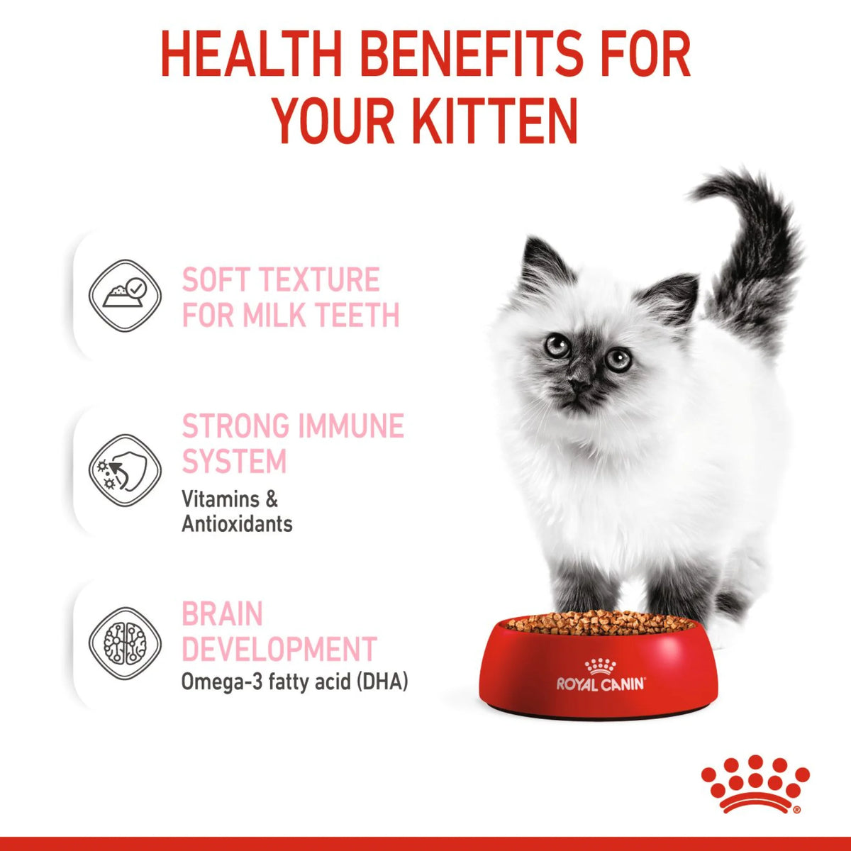Royal Canin Cat Wet Food Kitten Gravy 85 gr