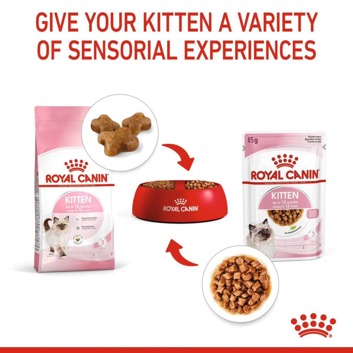 Royal Canin Cat Wet Food Kitten Gravy 85 gr