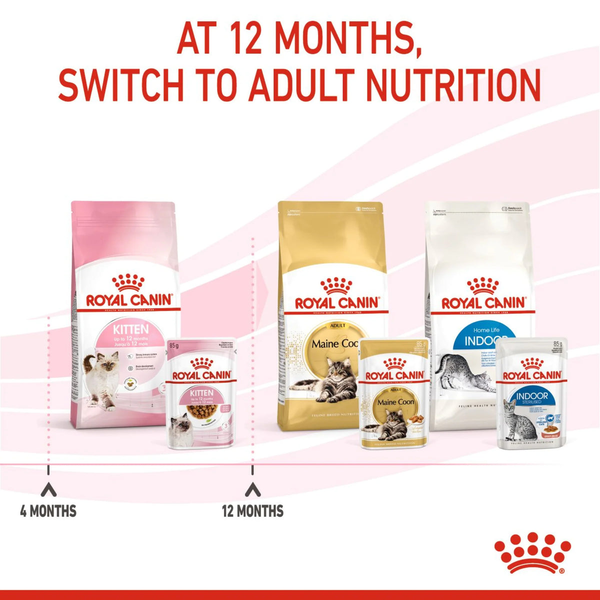 Royal Canin Cat Wet Food Kitten Gravy 85 gr