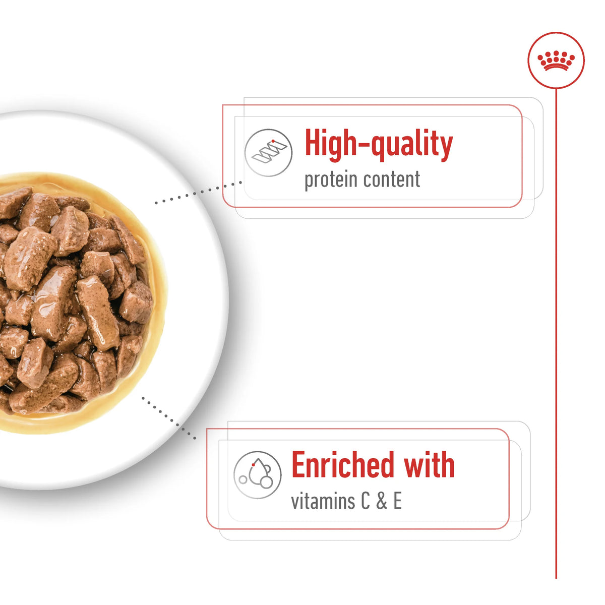 Royal Canin Dog Medium Adult Wet Food Gravy 85gr