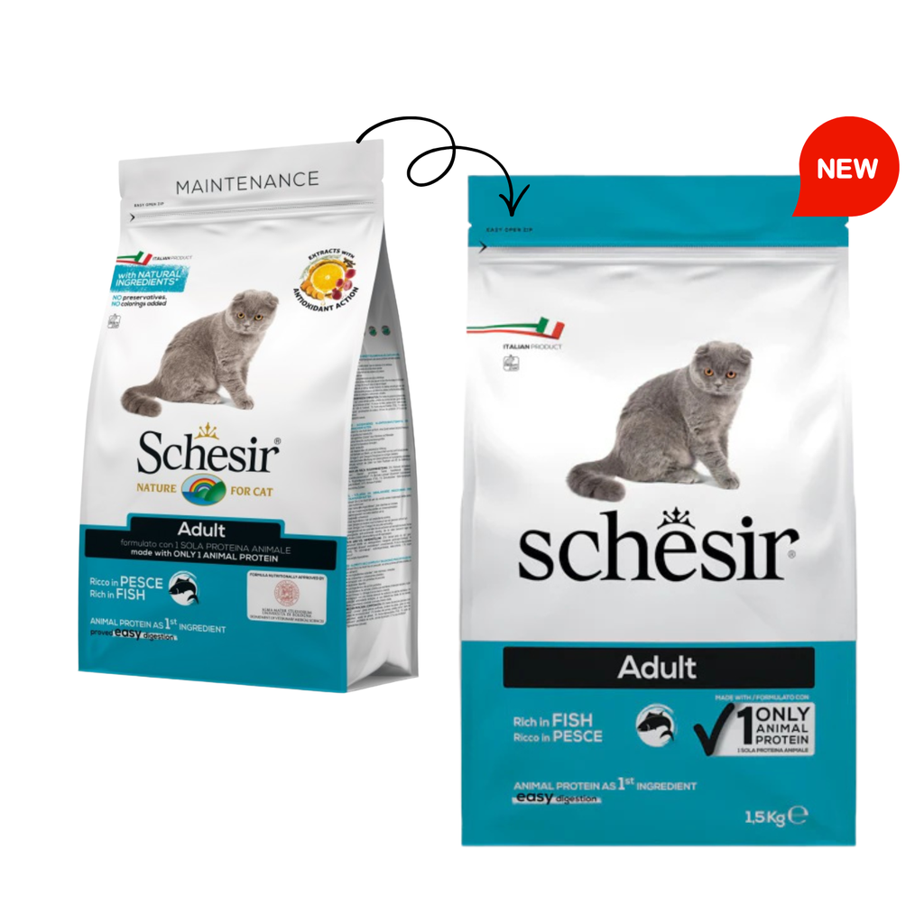 Schesir Cat Dry Food Maintenance with Fish-Adult